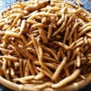 천마지하수 Daum카페