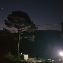 노란담장 이미지