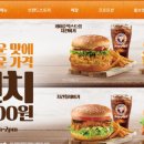 파파이스 이미지