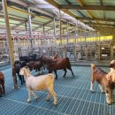 송동축사 이미지