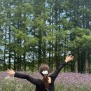 강원렉카 | [강릉/속초/고성] 즉흥청춘여행을 가장한 주작 강원도 여행