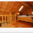 국화향기펜션 이미지