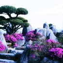 영덕상사