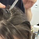 비전사거리 | 평택 두피관리 프라이빗하고 섬세한 두피 힐링, 평택 CSLMGF 두피탈모센터 평택비전점 후기✨