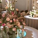 쌍둥축산2 | 돌아온 일상 이야기