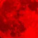 파루시아 이미지