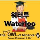 부엉이 식당 워터루 메뉴 가격 및 후기 (The owl of Minerva - Waterloo)