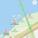 고속터미널역 8-1번 8-2번 중간 | 반포대교 무지개분수 시간·위치 총정리 + 비 오는 날 후기까지!