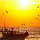 환상의노을 이미지