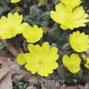 안산-대부-대부-풍도1 이미지