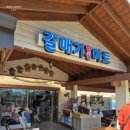 아일랜드펜션민박 | 장봉도 가족여행 숙소는 넓은 마당이 마음에 들었던 풀아일랜드펜션 내돈내산 리얼후기