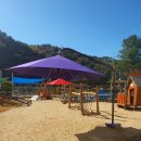 메밀꽃유치원 이미지