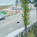 예쁘다. 하조대 | 양양 예쁘다하조대 바다가 보이는 카페 솔직후기 메뉴판 가격 주차정보
