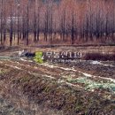 동남농장4 이미지