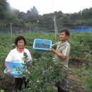 금사농장 이미지