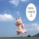 큐돌 이미지