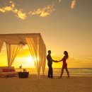 투어바인 이미지