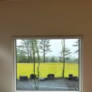 스테이인숲 | [제주도/서귀포시] 제주도 독채 가성비숙소 '포르투나스테이인표선'