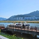 대동환경  에너지 행정사 사무소 | 부산 을숙도 추천 여행 &#34;낙동강 생태탐방선&#34; 탑승 체험 후기 + 운영시간, 요금 정보