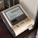 동명항생선구이 | 최악으로 변한 속초 "동명항 생선숯불구이" 후기 (완전 비추)