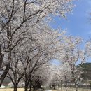 서하체육공원 이미지