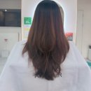 에이바헤어 도봉한신점 | 창동미용실 뿌리매직 잘하는 곳, 애견동반 가능