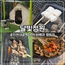 달빛정원 | [인천대공원 맛집] 운연동 달빛정원 캠핑식당 바베큐 이용 내돈내산 후기