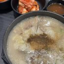 세심태권도 | (~9/10) 한국이 더 잘 맞는 사람