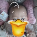 재윤농장 티스토리