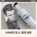 남자 M자 탈모 두피 클렌징 탈모 완화 남자 탈모 샴푸 HAMOCELL 엠 헤어 로스 샴푸 후기