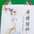 강경-9 이미지