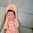 신생아 육아 필수템 알프레미오 수유 시트 사용 후기