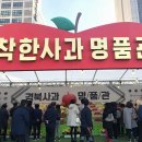 착한사과 이미지