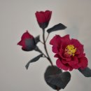 카멜리아플라워 이미지