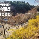 개나리펜션 이미지