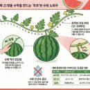 열매 태양광발전소 이미지