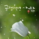 매사의 긍정적인 사람은 빛나는 인생을 만든다 이미지