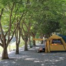 도원패밀리캠핑장 이미지