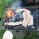 에코펜션민박 이미지