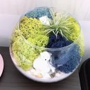 비오스샵 이미지