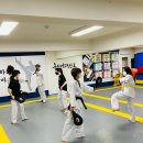 증산용인대태권도장 이미지