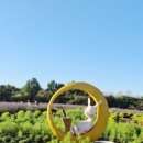 야생화단지 이미지