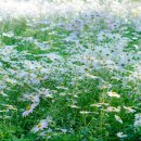 삼문동 문화체육회관 체육관 이미지