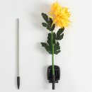 태양스토어 이미지