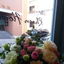 더리시안 이미지