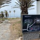 봄날애견 이미지