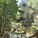 세고개로 Daum카페