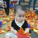 (주)풀잎소리 이미지