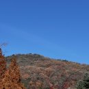 산솔면-16(마을입구버스승강장) | 곤지암 화담숲, 가을 단풍구경의 끝판왕 방문후기 그리고 모노레일