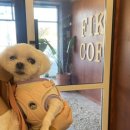 그루밍토리 이미지